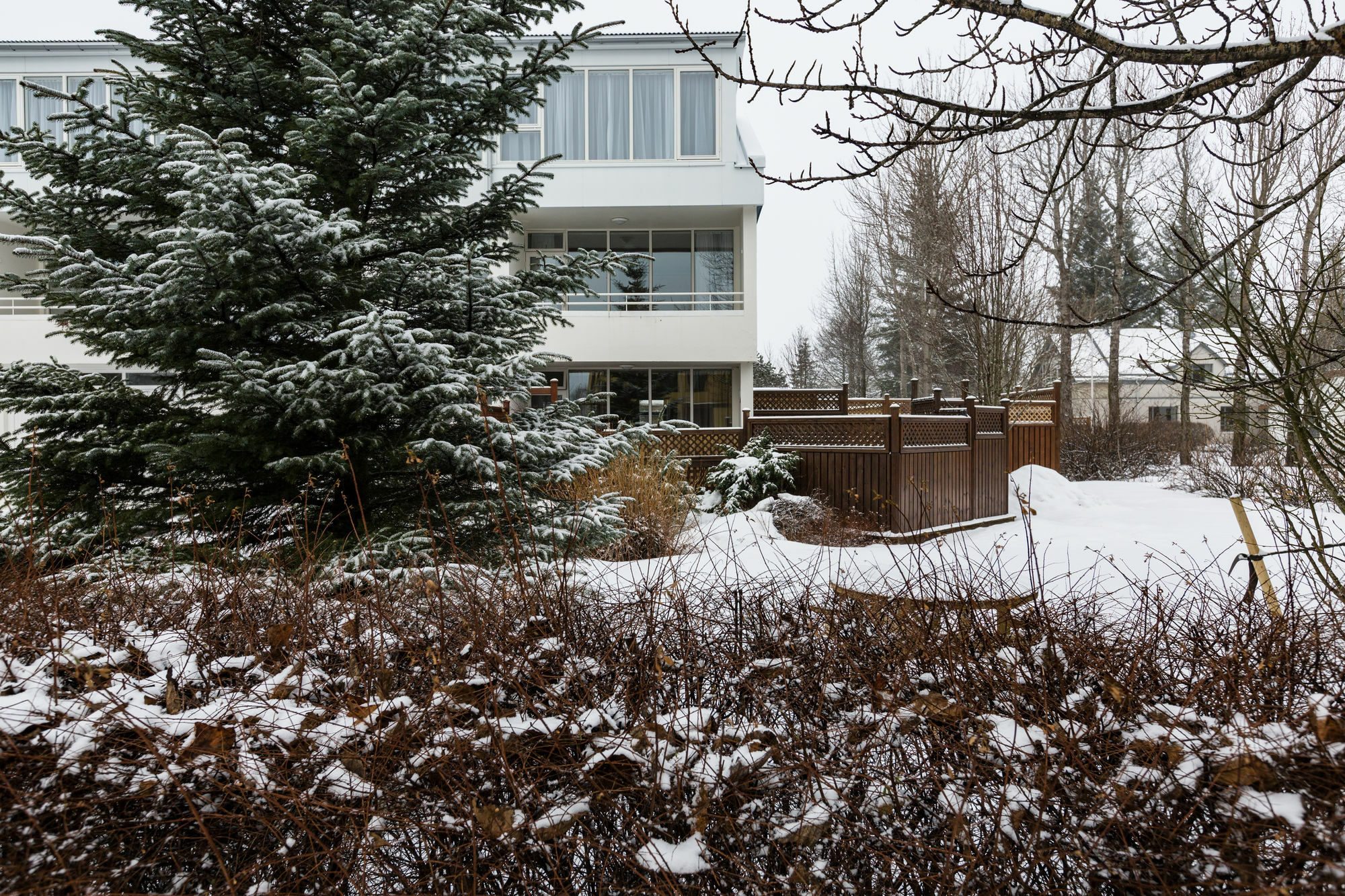 Guesthouse Garun Skolavellir Selfoss Bagian luar foto